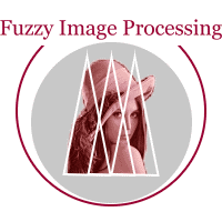 Fuzzy Image Processing